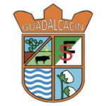 Escudo CD Guadalcacín FS